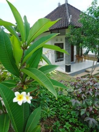 Bingin Family Bungalow Uluwatu  Luaran gambar